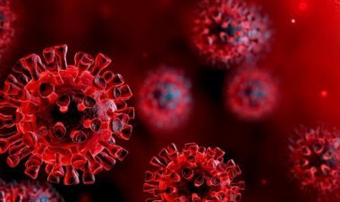 जोधपुर में ऑस्टेलियाई युवती कोरोना पॉजीटिव: तबीयत खराब होने पर हॉस्पिटल में दिए थे सैंपल  