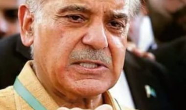 शहबाज शरीफ फिर बने पाकिस्तान के PM, पीटीआई के उमर अयूब खान को हराया  