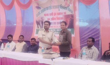 कटघोरा वन मंडल के जटगा वन परिक्षेत्र लोडीबहरा में परीक्षण   