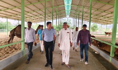 दूदू : जिला कलक्टर ने किया मौजमाबाद तहसील के उन्नत कृषि फार्म का निरीक्षण  