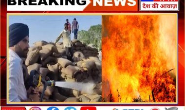 फाजिल्का अनाज मंडी में 500 बोरियां जलीं:बीड़ी की चिंगारी से लगी आग; फायर ब्रिगेड ने काबू पाया  