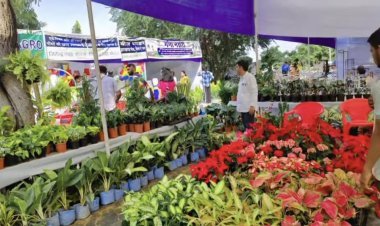 जवाहर कला केन्द्र में तीन दिवसीय गार्डन बाजार कल से